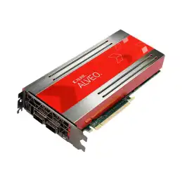 Xilinx Alveo U250 - Processeur de calcul - Alveo U250 - 64 Go DDR4 - PCIe 3.0 x16 - 2 x QSFP28 - san ventila... (R4B03C)_2